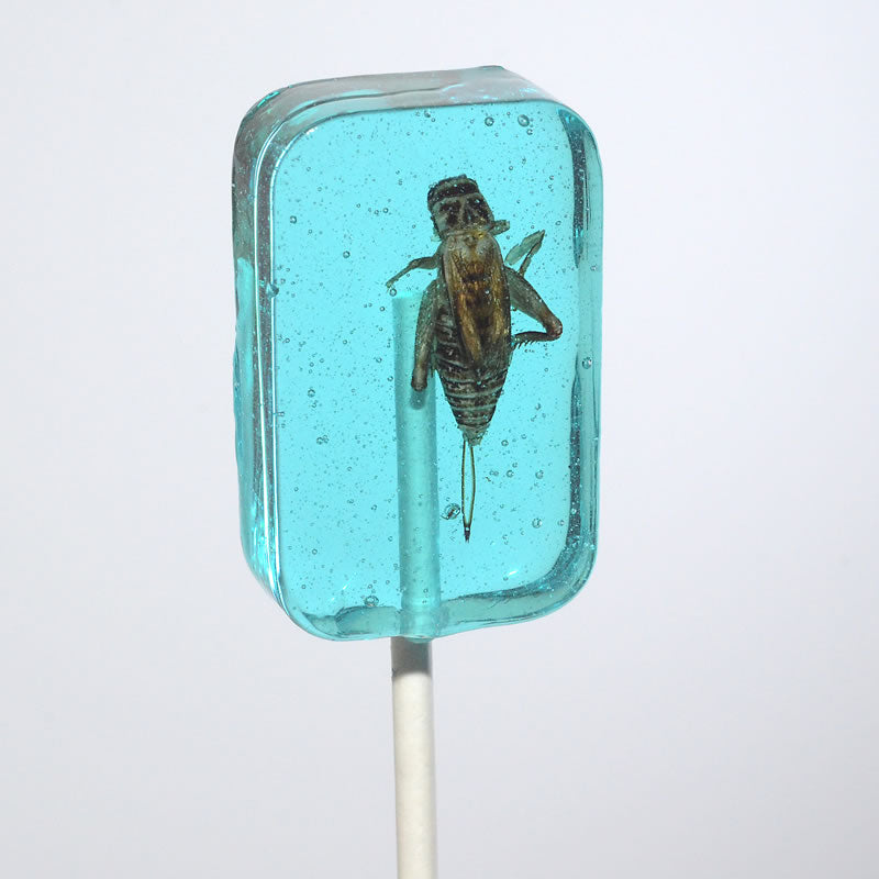 Cricket Lick-It Suckers