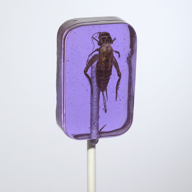 Cricket Lick-It Suckers