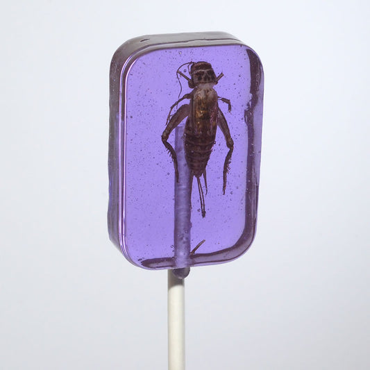 Cricket Lick-It Suckers