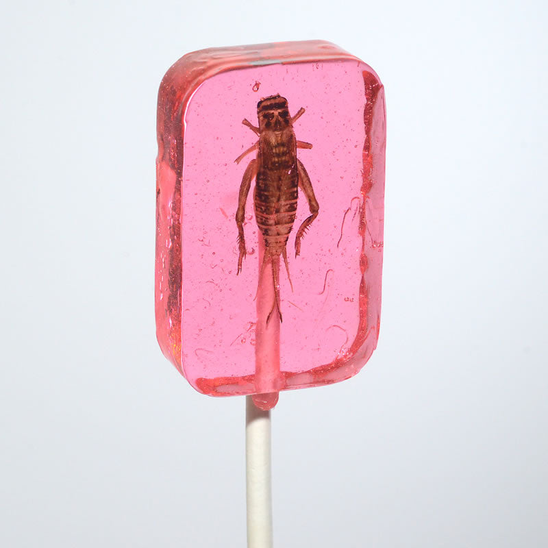 Cricket Lick-It Suckers